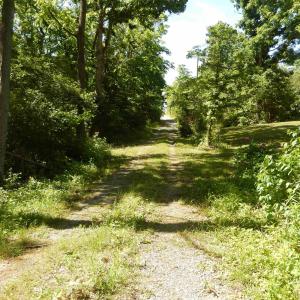 Photo #3 of MT PARAN CHURCH RD, ELKTON, VA 8.2 acres