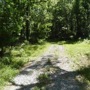 Photo #6 of MT PARAN CHURCH RD, ELKTON, VA 8.2 acres