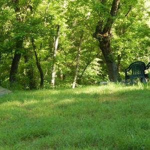 Photo #8 of MT PARAN CHURCH RD, ELKTON, VA 8.2 acres