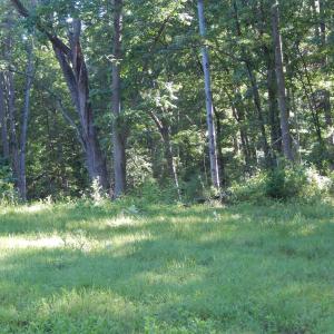 Photo #9 of MT PARAN CHURCH RD, ELKTON, VA 8.2 acres