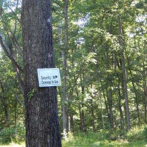 Photo #5 of MT PARAN CHURCH RD, ELKTON, VA 8.2 acres