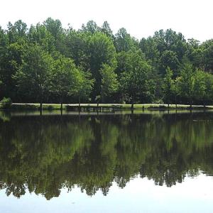 Photo #16 of G2 ORCHID LAKE DR, GUM SPRING, VA 0.2 acres