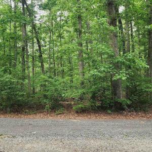 Photo #2 of G2 ORCHID LAKE DR, GUM SPRING, VA 0.2 acres