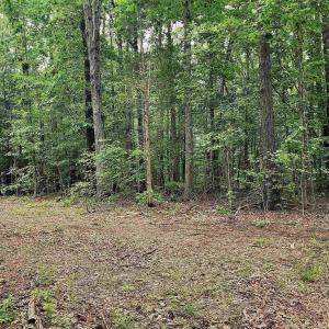 Photo #2 of G3 ORCHID LAKE DR, GUM SPRING, VA 0.2 acres