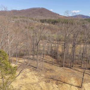 Photo #13 of Lot 7B ROCKFISH VALLEY HWY, AFTON, VA 4.7 acres