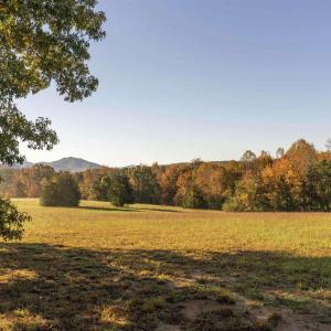 Photo #3 of Lot 7B ROCKFISH VALLEY HWY, AFTON, VA 4.7 acres