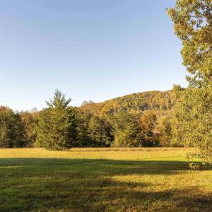 Photo #4 of Lot 7B ROCKFISH VALLEY HWY, AFTON, VA 4.7 acres