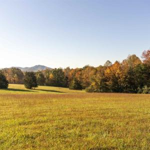 Photo #5 of Lot 7B ROCKFISH VALLEY HWY, AFTON, VA 4.7 acres
