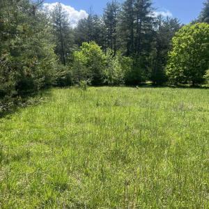 Photo #1 of 15128 HIGHLAND TPKE, HEADWATERS, VA 5.0 acres