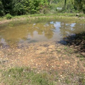 Photo #4 of 15128 HIGHLAND TPKE, HEADWATERS, VA 5.0 acres