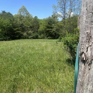 Photo #5 of 15128 HIGHLAND TPKE, HEADWATERS, VA 5.0 acres
