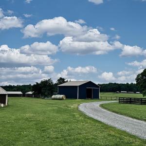 Photo #5 of 3111 SEMINOLE TRL, MADISON, VA 115.8 acres