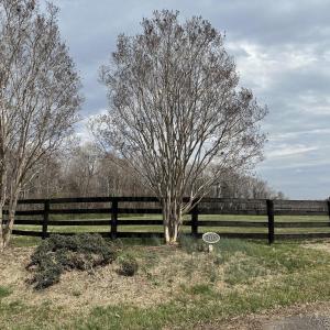 Photo #28 of 3111 SEMINOLE TRL, MADISON, VA 115.8 acres