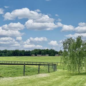Photo #15 of 3111 SEMINOLE TRL, MADISON, VA 115.8 acres