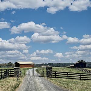 Photo #3 of 3111 SEMINOLE TRL, MADISON, VA 115.8 acres