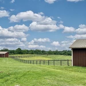Photo #11 of 3111 SEMINOLE TRL, MADISON, VA 115.8 acres
