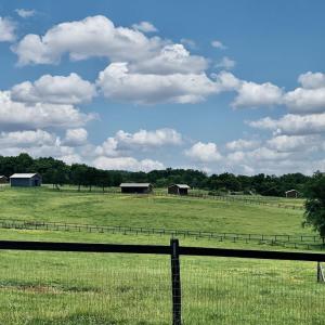 Photo #22 of 3111 SEMINOLE TRL, MADISON, VA 115.8 acres