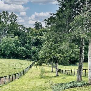 Photo #20 of 3111 SEMINOLE TRL, MADISON, VA 115.8 acres