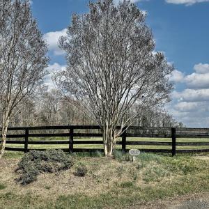 Photo #26 of 3111 SEMINOLE TRL, MADISON, VA 115.8 acres