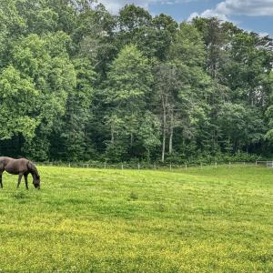 Photo #21 of 3111 SEMINOLE TRL, MADISON, VA 115.8 acres