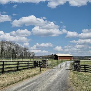 Photo #2 of 3111 SEMINOLE TRL, MADISON, VA 115.8 acres