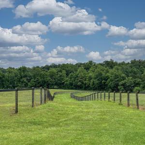Photo #18 of 3111 SEMINOLE TRL, MADISON, VA 115.8 acres