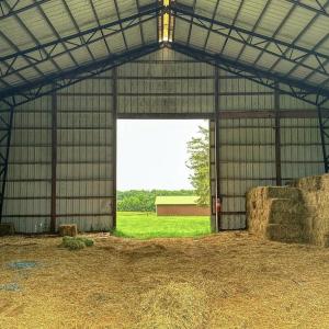 Photo #7 of 3111 SEMINOLE TRL, MADISON, VA 115.8 acres