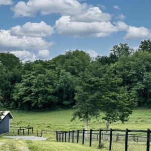 Photo #19 of 3111 SEMINOLE TRL, MADISON, VA 115.8 acres
