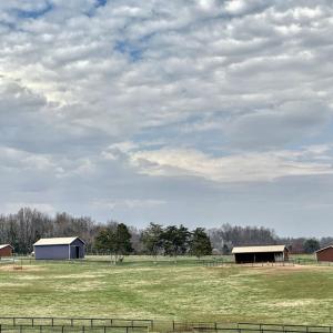 Photo #8 of 3111 SEMINOLE TRL, MADISON, VA 115.8 acres