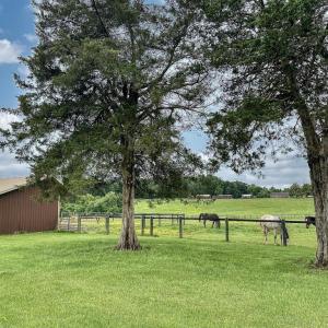 Photo #9 of 3111 SEMINOLE TRL, MADISON, VA 115.8 acres