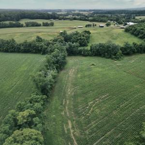 Photo #24 of 3111 SEMINOLE TRL, MADISON, VA 115.8 acres