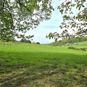 Photo #7 of INDIAN RIDGE LN, ROCKINGHAM, VA 15.7 acres