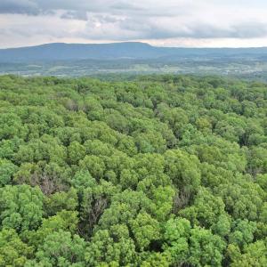 Photo #5 of INDIAN RIDGE LN, ROCKINGHAM, VA 15.7 acres