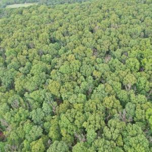 Photo #17 of INDIAN RIDGE LN, ROCKINGHAM, VA 15.7 acres