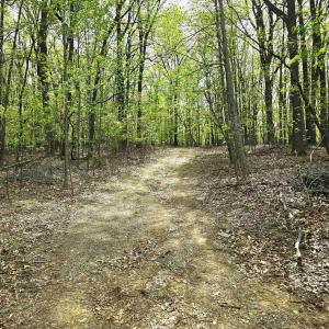 Photo #15 of INDIAN RIDGE LN, ROCKINGHAM, VA 15.7 acres