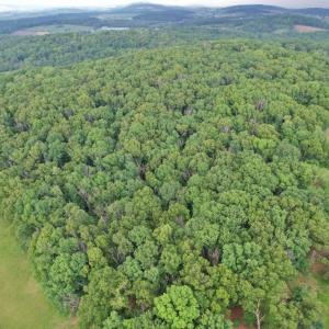 Photo #2 of INDIAN RIDGE LN, ROCKINGHAM, VA 15.7 acres