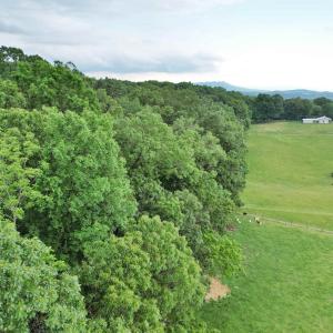 Photo #16 of INDIAN RIDGE LN, ROCKINGHAM, VA 15.7 acres