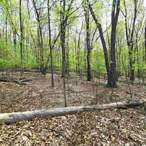 Photo #13 of INDIAN RIDGE LN, ROCKINGHAM, VA 15.7 acres