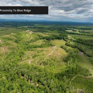Photo #25 of LOT 2 SHARPS CREEK RD, SCOTTSVILLE, VA 65.9 acres