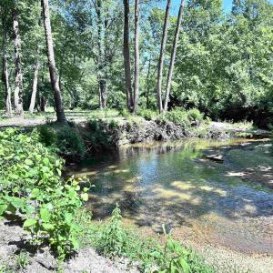 Photo #34 of LOT 2 SHARPS CREEK RD, SCOTTSVILLE, VA 65.9 acres