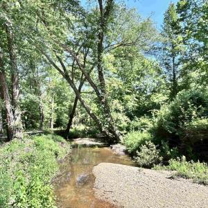 Photo #3 of LOT 2 SHARPS CREEK RD, SCOTTSVILLE, VA 65.9 acres
