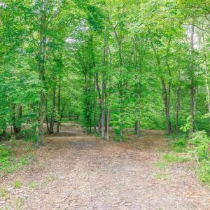 Photo #19 of LOT 2 SHARPS CREEK RD, SCOTTSVILLE, VA 65.9 acres