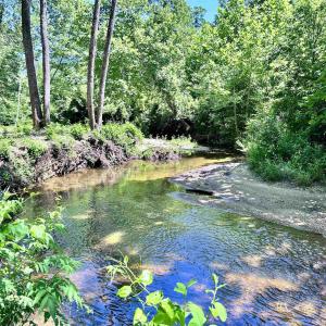 Photo #4 of LOT 2 SHARPS CREEK RD, SCOTTSVILLE, VA 65.9 acres