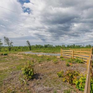 Photo #9 of LOT 2 SHARPS CREEK RD, SCOTTSVILLE, VA 65.9 acres
