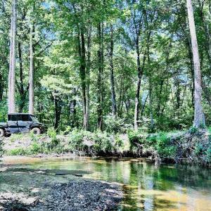 Photo #37 of LOT 2 SHARPS CREEK RD, SCOTTSVILLE, VA 65.9 acres
