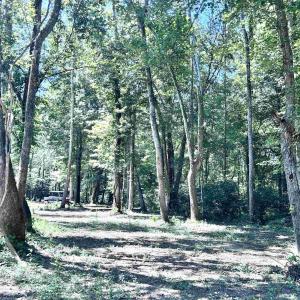 Photo #42 of LOT 2 SHARPS CREEK RD, SCOTTSVILLE, VA 65.9 acres