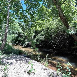 Photo #38 of LOT 2 SHARPS CREEK RD, SCOTTSVILLE, VA 65.9 acres