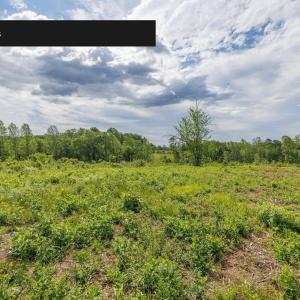 Photo #17 of LOT 2 SHARPS CREEK RD, SCOTTSVILLE, VA 65.9 acres