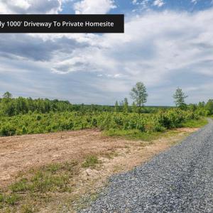 Photo #14 of LOT 2 SHARPS CREEK RD, SCOTTSVILLE, VA 65.9 acres