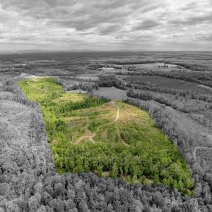 Photo #7 of LOT 2 SHARPS CREEK RD, SCOTTSVILLE, VA 65.9 acres